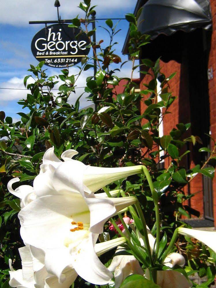 Hi George B&B Launceston Eksteriør bilde
